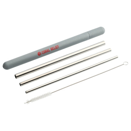 Reusable Custom Steel Straw Set