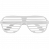Custom Viz Shutter Glasses