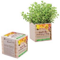 Custom Wooden Cube Grow Kit