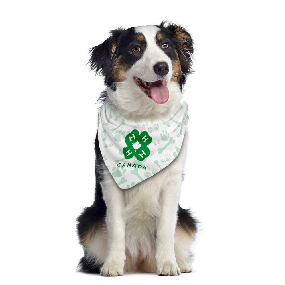 Custom Dog Bandanas | Outfit Your Pup in Style