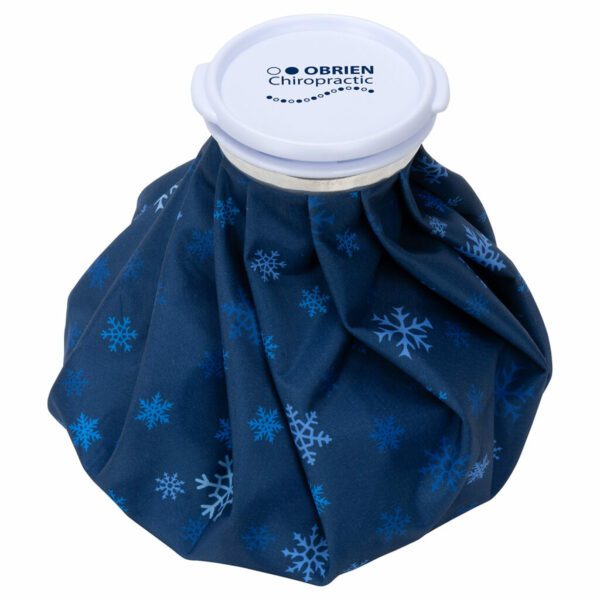 Grand Sac À Glace