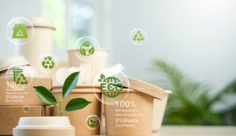 Eco-Environmentally friendly paper containers and packaging made from biodegradable materials zero waste and recycling concept green or disposable packaging